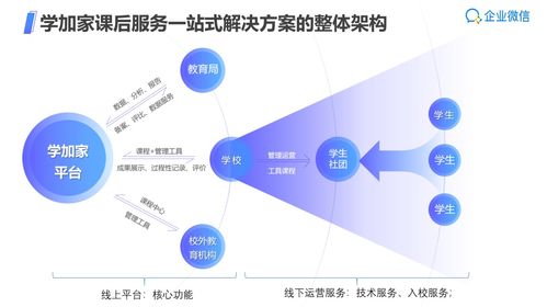 双减政策下的科技赋能 河南网络技术服务如何助力学校课后服务提质增效