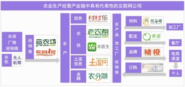 从美日现代农业发展进程，看互联网将如何改造中国的农业技术服务——以河南为例
